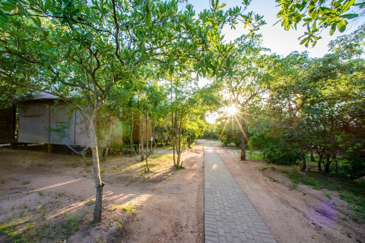 Nkambeni Safari Camp Villa Mtimba Exterior photo